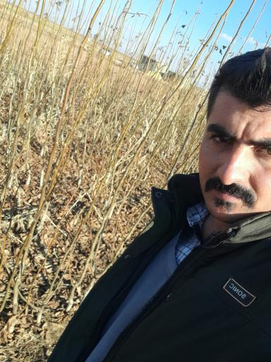 عکس نهالستان عباس وند