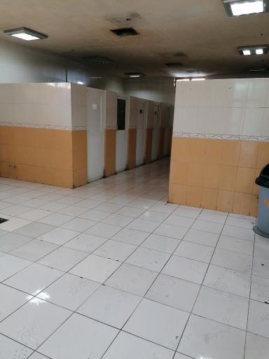 عکس تولت عمومی مردانه