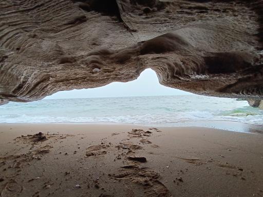 عکس کوشکنار