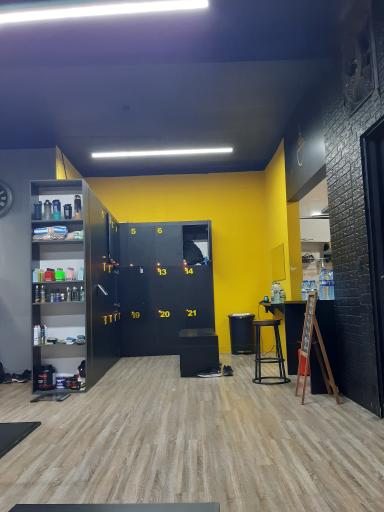 عکس باشگاه بدنسازی اپکس APEX