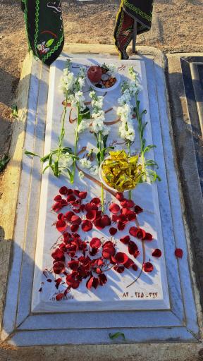 عکس مزار مرضیه سلمانی