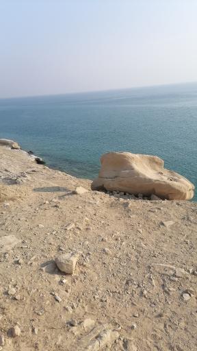 عکس کوشکنار