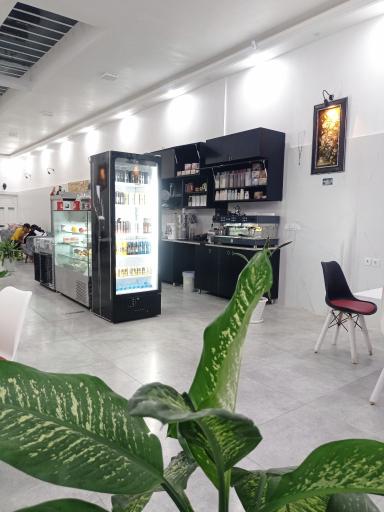 عکس کافه کینگ