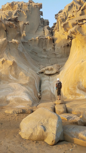 عکس کوشکنار