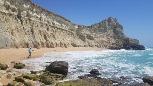 عکس کوشکنار