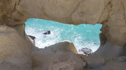 عکس کوشکنار