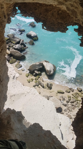 عکس کوشکنار