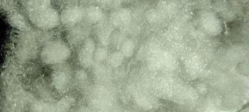 عکس لحاف دوزی