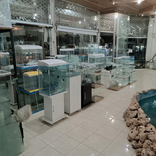 عکس اکواریوم حباب