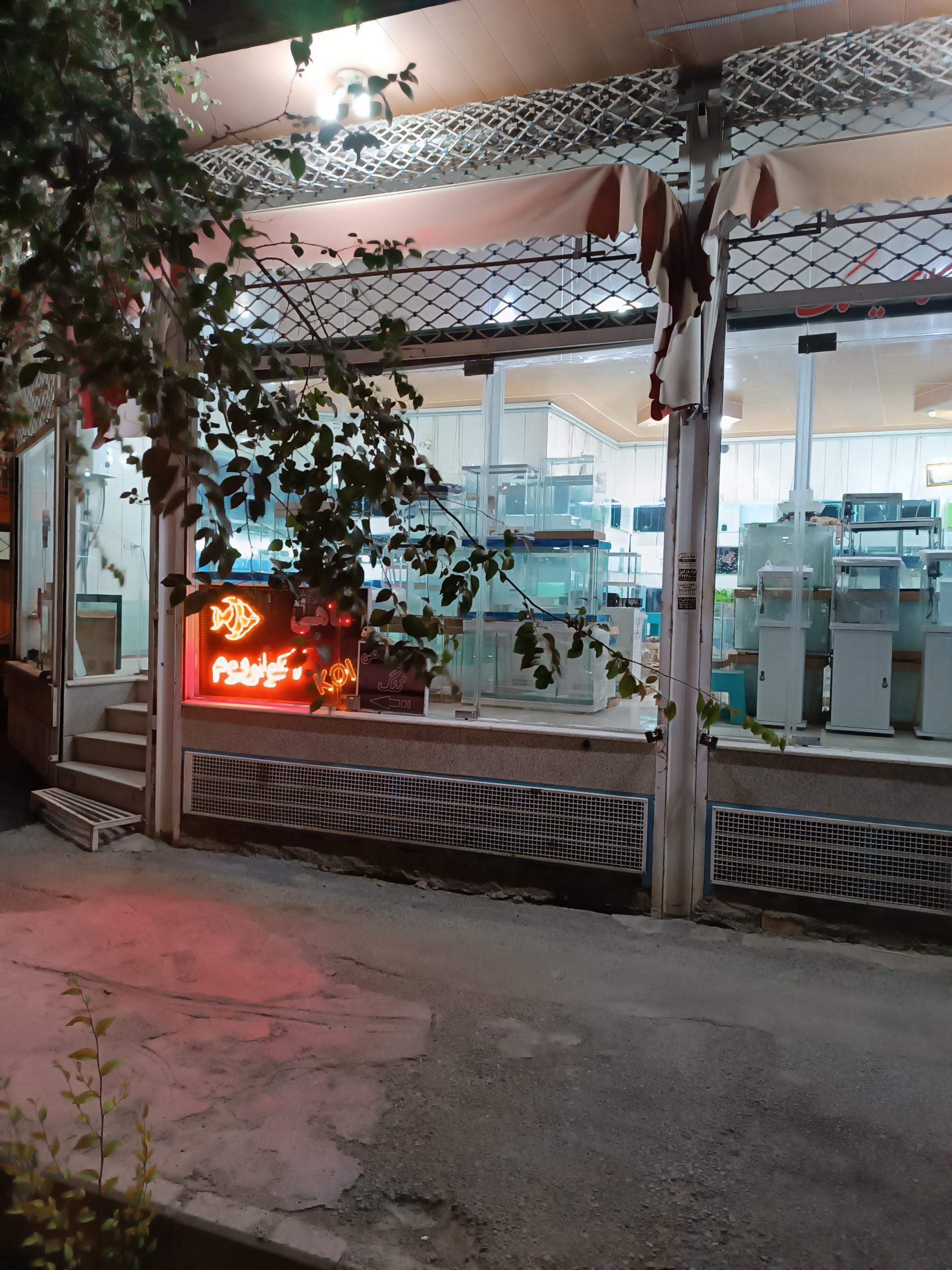 عکس اکواریوم حباب