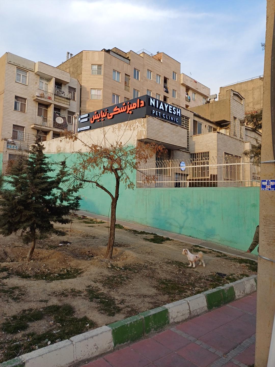 عکس دامپزشکی نیایش