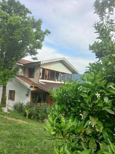 عکس کلبه چوبی سیروس نجفی 