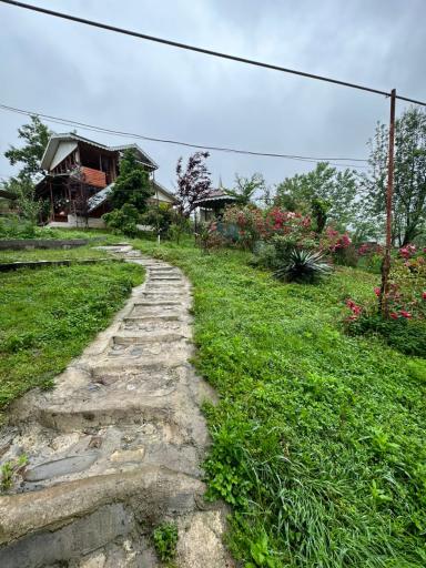 عکس کلبه چوبی سیروس نجفی 