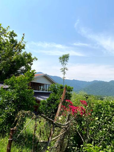 عکس کلبه چوبی سیروس نجفی 