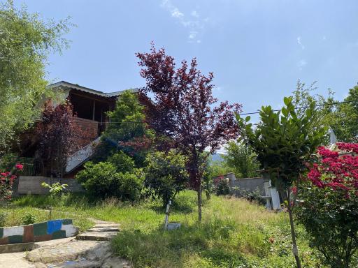 عکس کلبه چوبی سیروس نجفی 