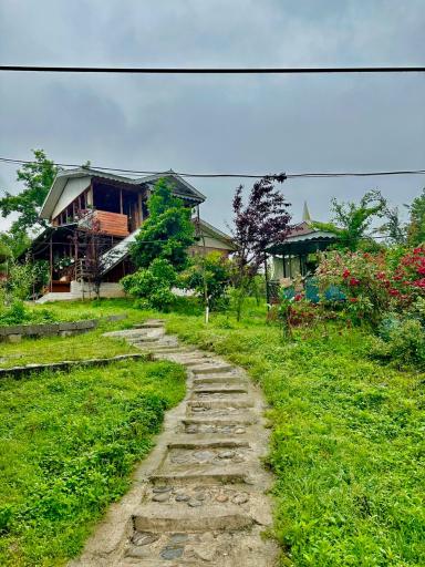 عکس کلبه چوبی سیروس نجفی 