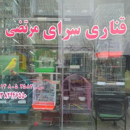 قناری سرای مرتضی