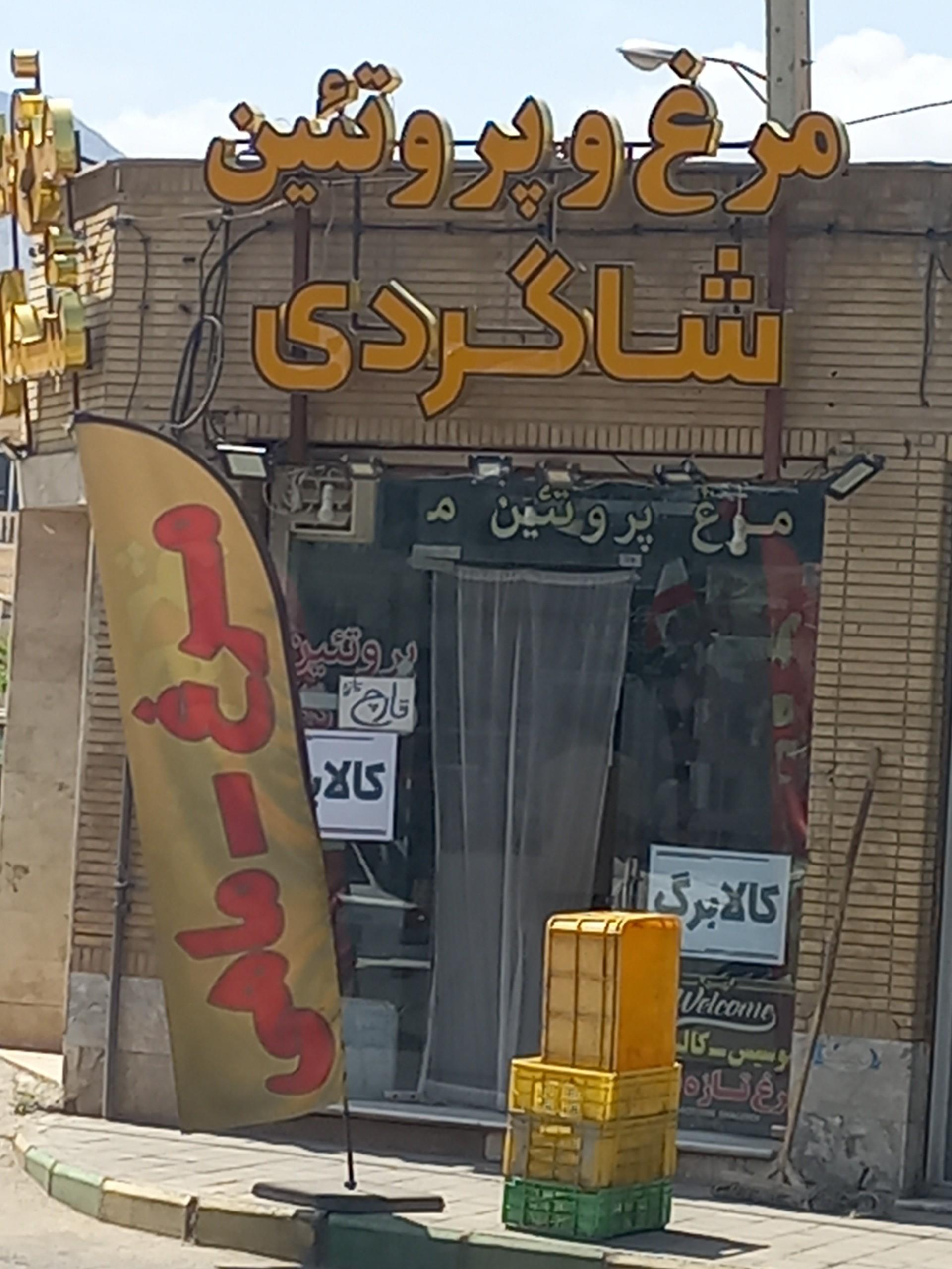 عکس مرغ پروتئین شاگردی