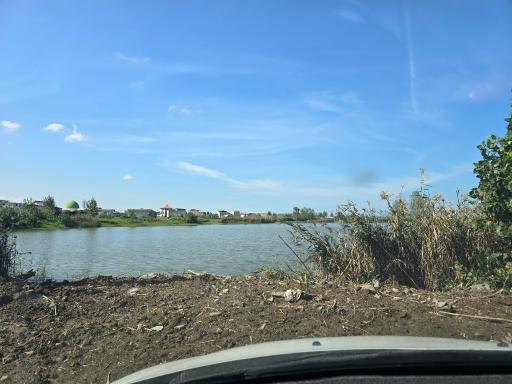 عکس تالاب بین المللی پرندگان ازباران