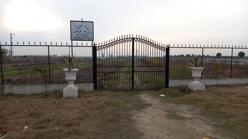 عکس مزرعه کریمی سیمرغ