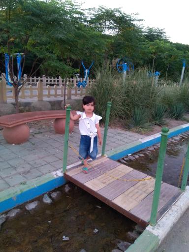 عکس بوستان زیتون