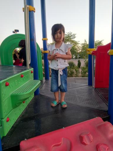 عکس بوستان زیتون