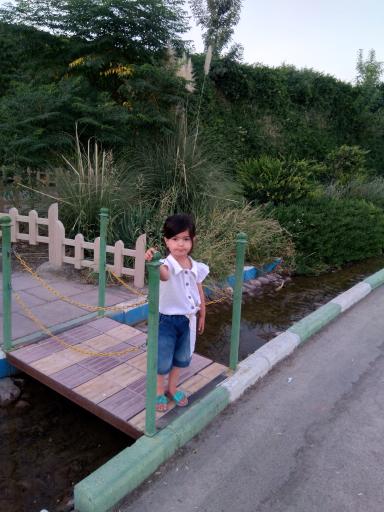 عکس بوستان زیتون