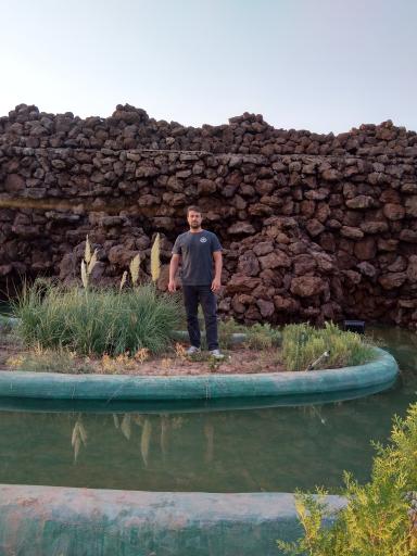 عکس بوستان زیتون