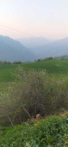 عکس تنگه مینودشت