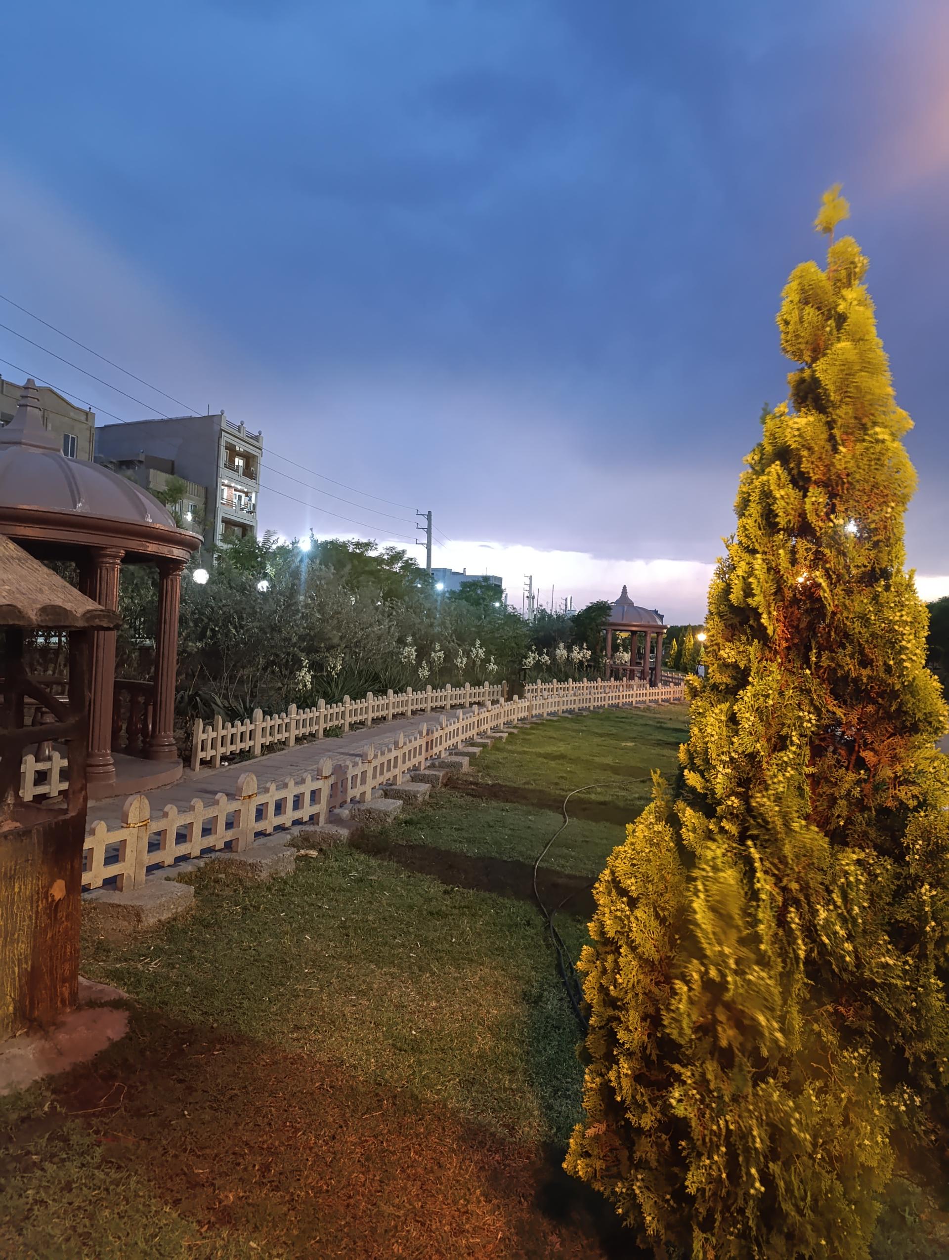 عکس بوستان زیتون