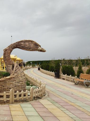 عکس بوستان زیتون