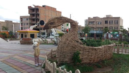 عکس بوستان زیتون