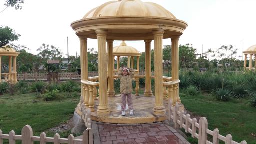 عکس بوستان زیتون