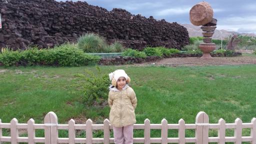 عکس بوستان زیتون