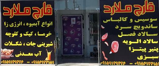 عکس پخش قارچ راد