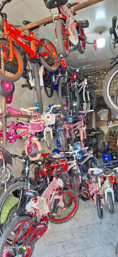 عکس فروشگاه دوچرخه شاهان