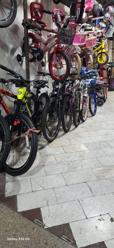 عکس فروشگاه دوچرخه شاهان