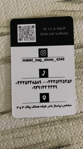 عکس کیف و کفش ملکی
