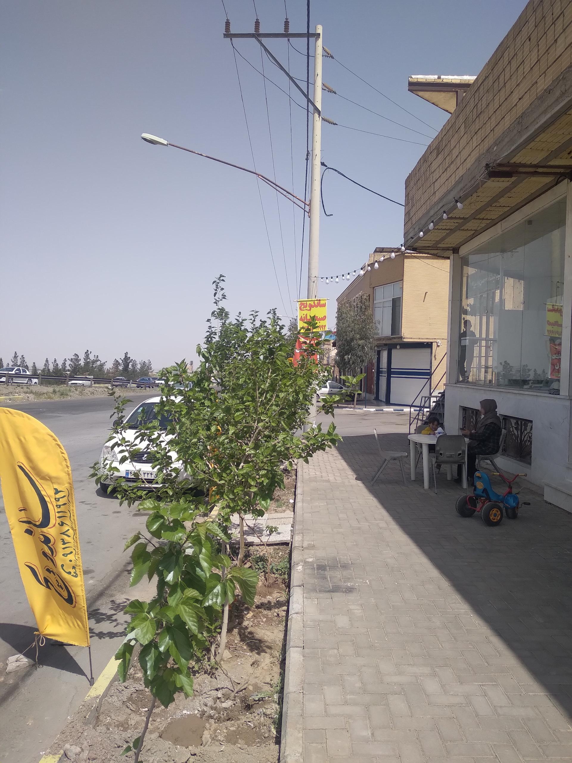 عکس ساندویچ دایی جون 