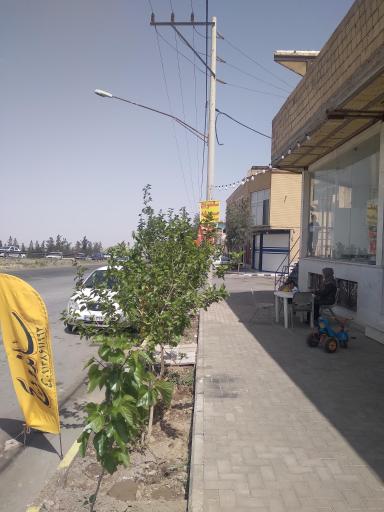 ساندویچ دایی جون 