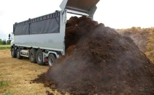 عکس سورین خاک