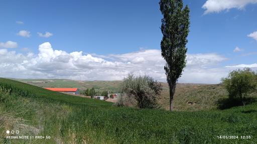 عکس ذوالبین