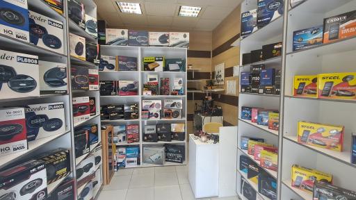 عکس دزدگیر اتومبیل دانا