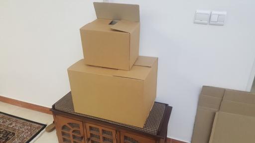 عکس کارتن فروشی طالبلو