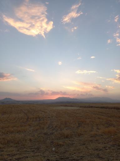 عکس ذوالبین