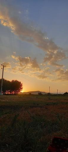 عکس ذوالبین