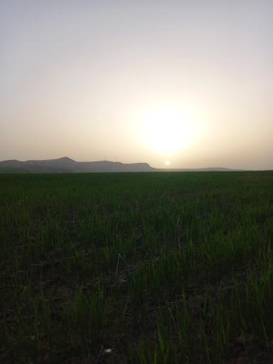 عکس ذوالبین