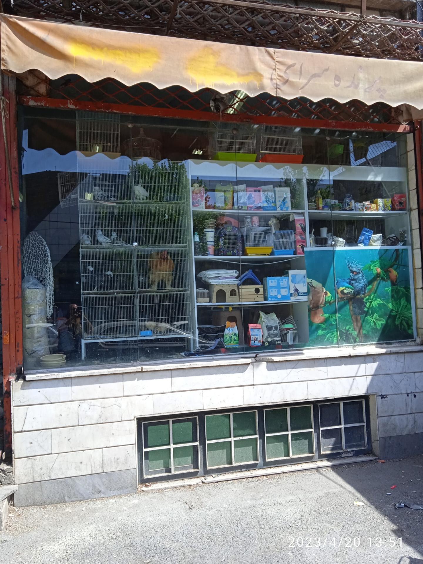 عکس پرنده فروشی یوسفی