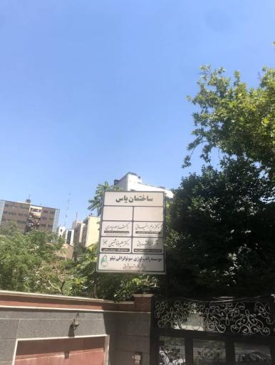 عکس رادیولوژی و سونوگرافی نیلو (دکتر فاطمه مهتاب قربانی)