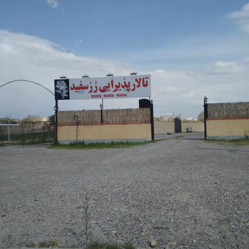 تالار پذیرایی رز سفید 